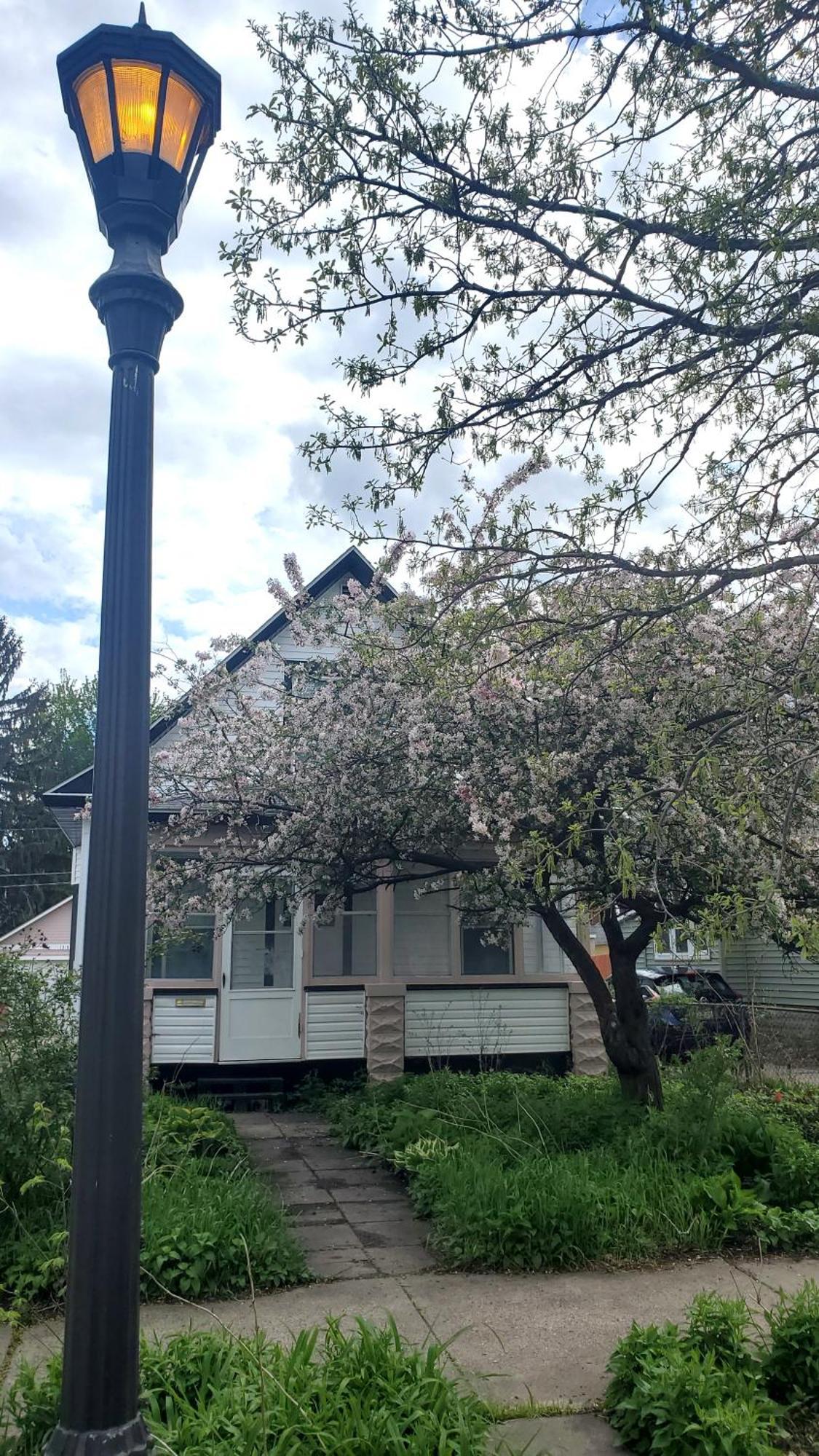 Pinkston Gardens Villa Saint Paul Exterior photo